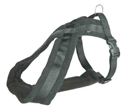 Arnés Premium acolchado, S-M: 40-70 cm,20 mm, negr